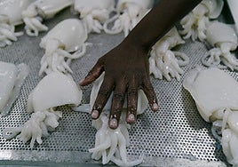 Las exposiciones que no te puedes perder en este mes de mayo en Sevilla