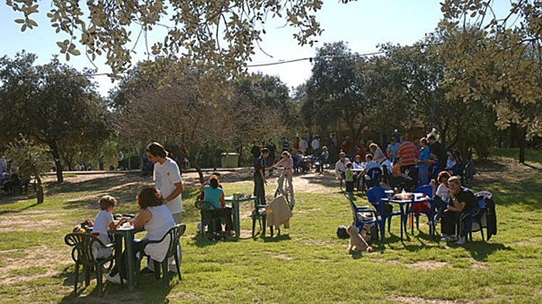 Varias familias de pícnic en el Parque del Alamillo