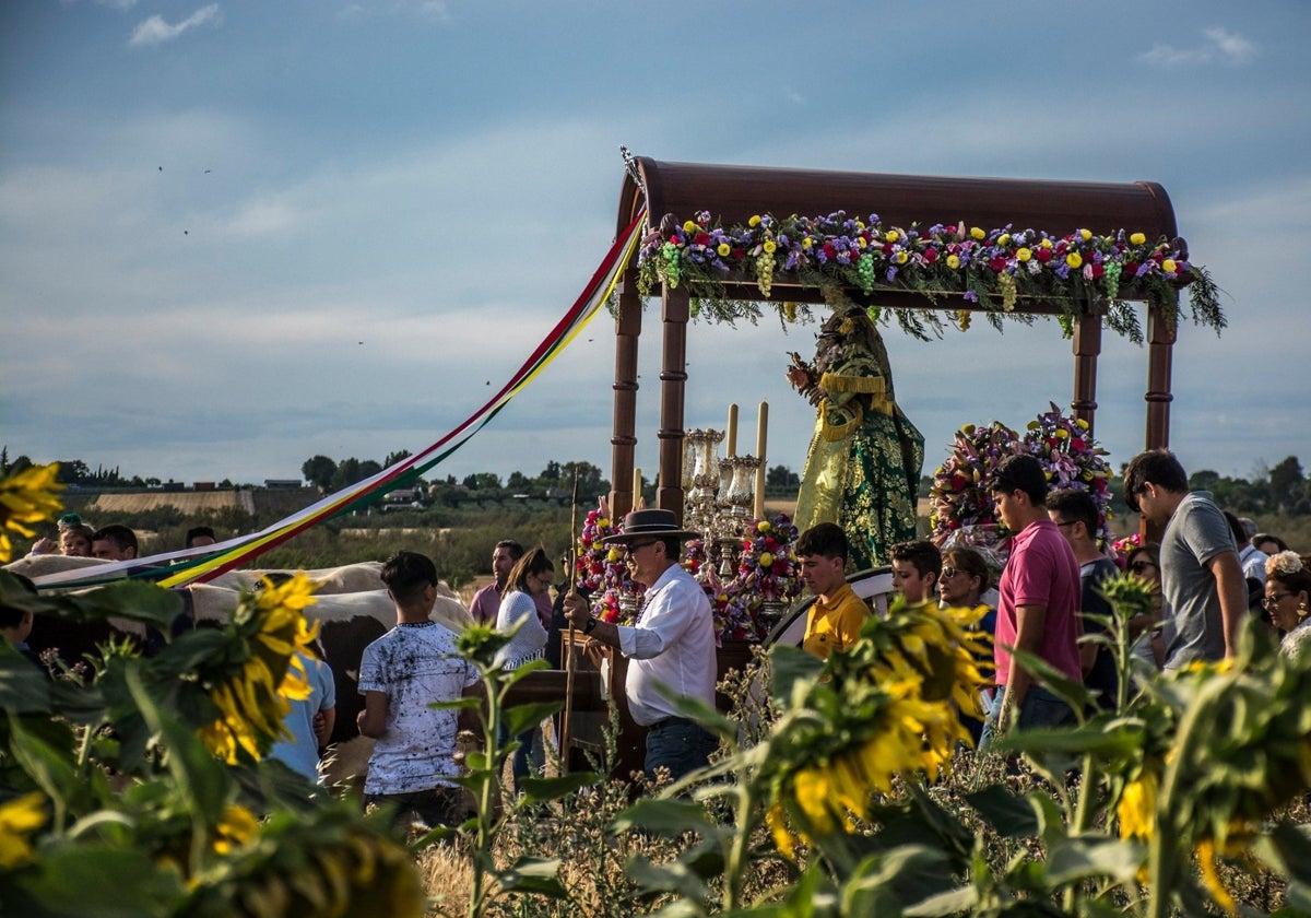 El Cuervo de Sevilla celebra este fin de semana su tradicional romería en honor a la Virgen del Rosario