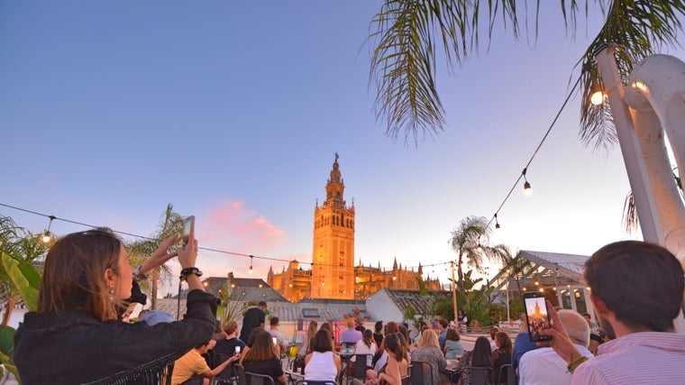 Ambiente en Pura Vida Terraza