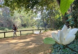 Rutas teatralizadas nocturnas en el Parque de Oromana de Alcalá de Guadaíra