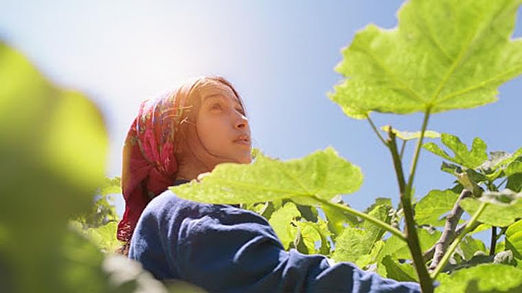 Qué hacer hoy, domingo 28 de julio de 2024