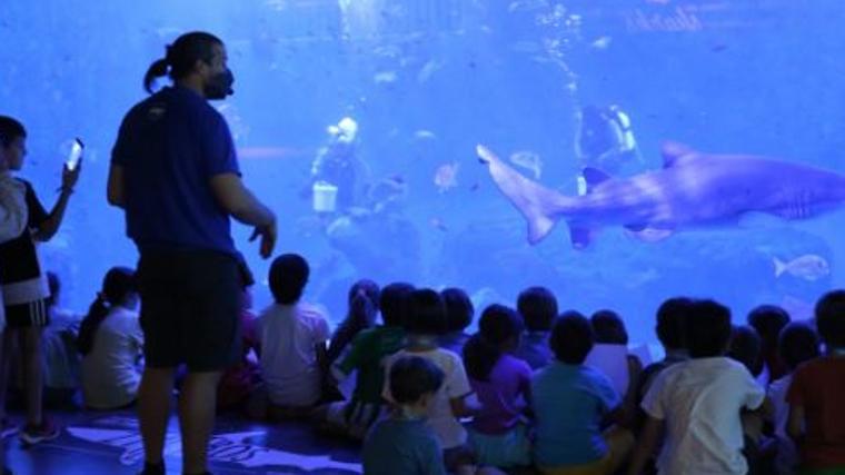 Todas las actividades por el aniversario del Acuario de Sevilla