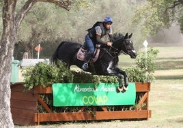 Paseos gratuitos en poni y actuaciones en directo: todas las actividades de la Gran Semana del caballo Anglo-árabe en Sevilla