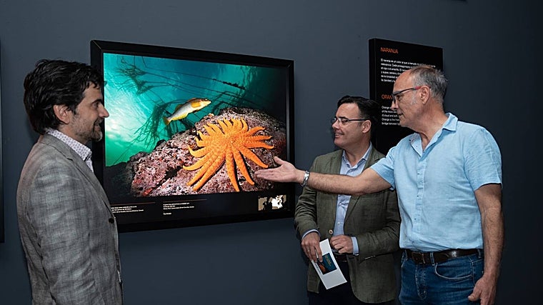 Esta es una de las exposiciones que se encuentra en estos momentos en las instalaciones del Caixaforum de Sevilla