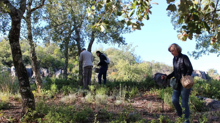 Salida al campo en las Jornadas Micológicas de Constantina