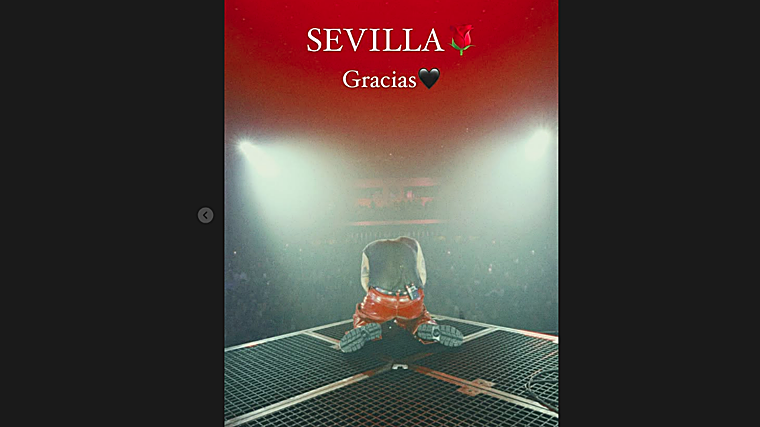 Dani ha agradecido a su público de Sevilla el concierto a través de sus stories de Instagram
