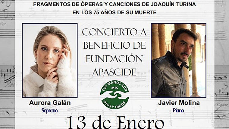 Cartel del concierto