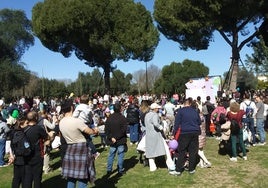 El Parque del Alamillo se llena de actividades para celebrar el Día de Andalucía: talleres, rutas y concursos