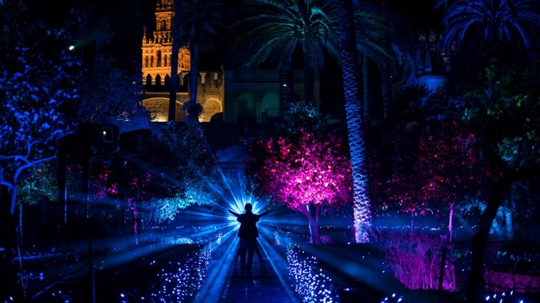 Naturaleza encendida es un espectáculo de luz que toma como marco los jardines del Real Alcázar
