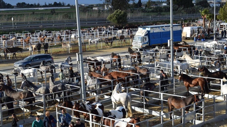 Qué hacer esta semana en la provincia de Sevilla