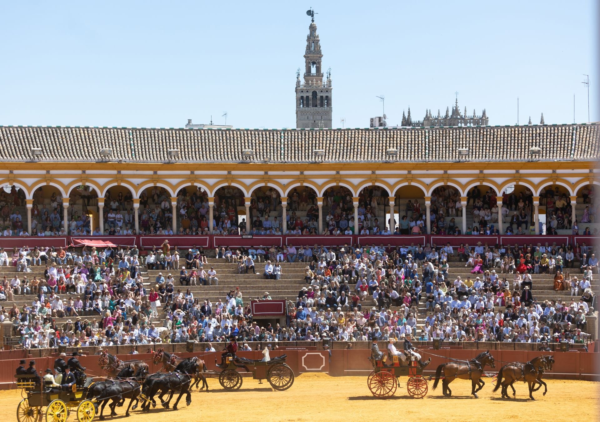 Exhibición de Enganches, en la Plaza de Toros de la Real Maestranza 2023