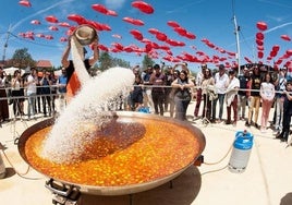 Market Fest 2025 en Mairena del Aljarafe: food trucks y conciertos gratis este fin de semana