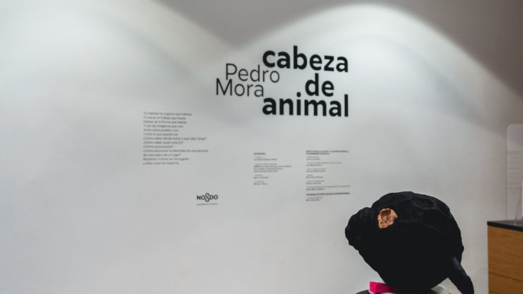 En la Sala Atín Aya es posible visitar esta exposición del artista Pedro Mora