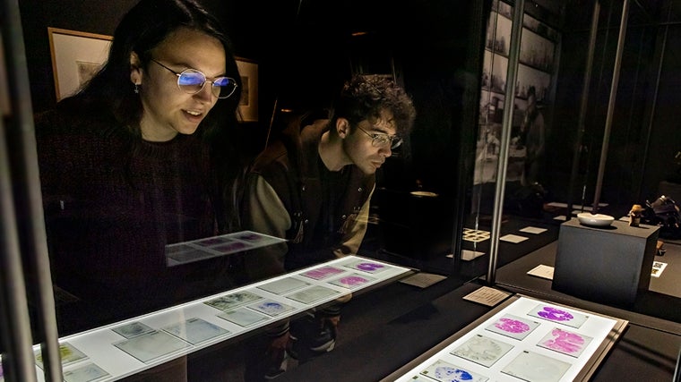 La Casa de la Ciencia de Sevilla ha impulsado esta nueva exposición que sirve para comprender el funcionamiento del cerebro