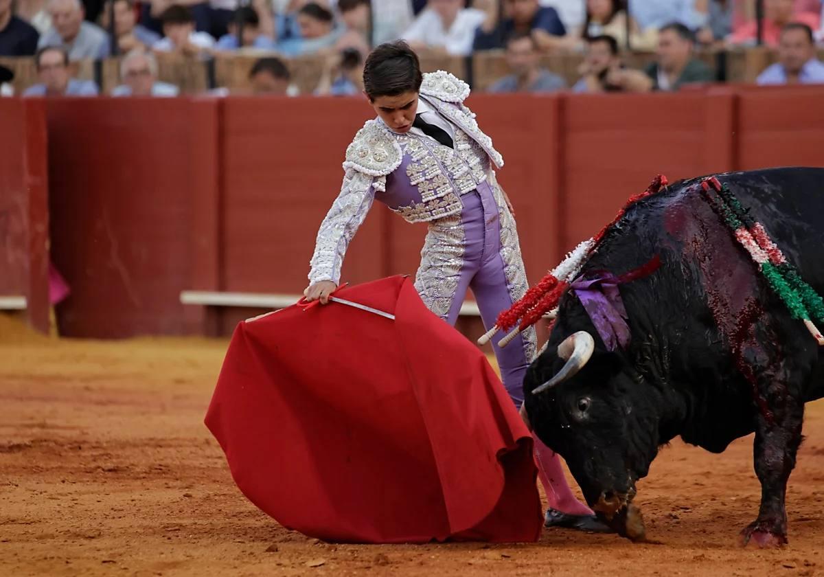 Manuel Román participará en las novilladas de este domingo