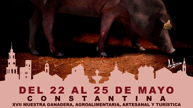 Qué hacer esta semana en la provincia de Sevilla