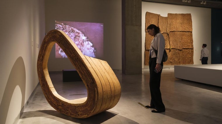 En esta actividad se puede disfrutar de una visita guiada a una de las exposiciones que están en el Caixaforum Sevilla