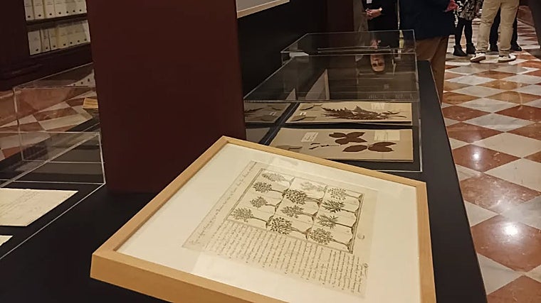 Las instalaciones del Archivo de Indias acogen esta exposición centrada en la expansión del conocimiento