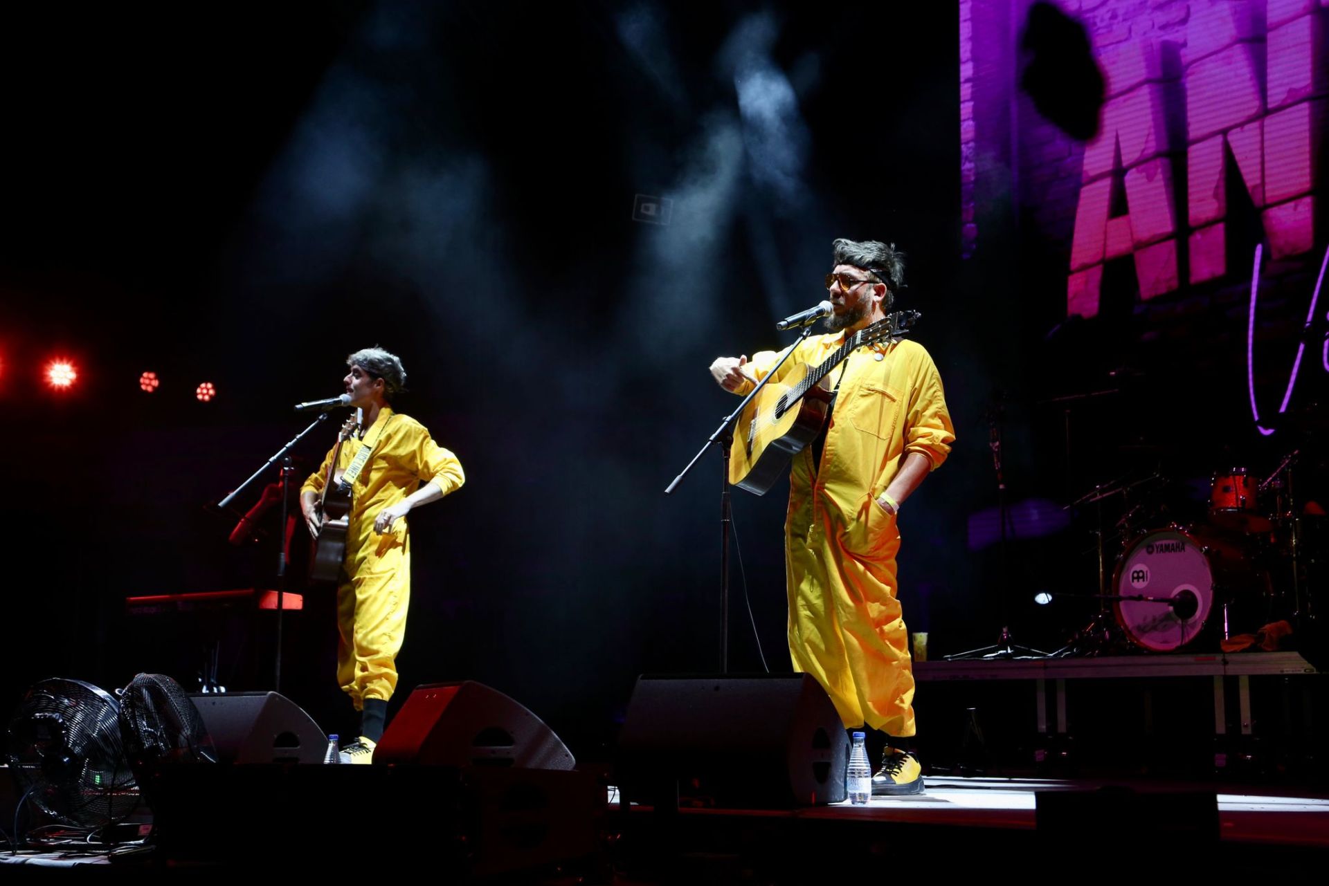 Un instante del concierto de Antílopez