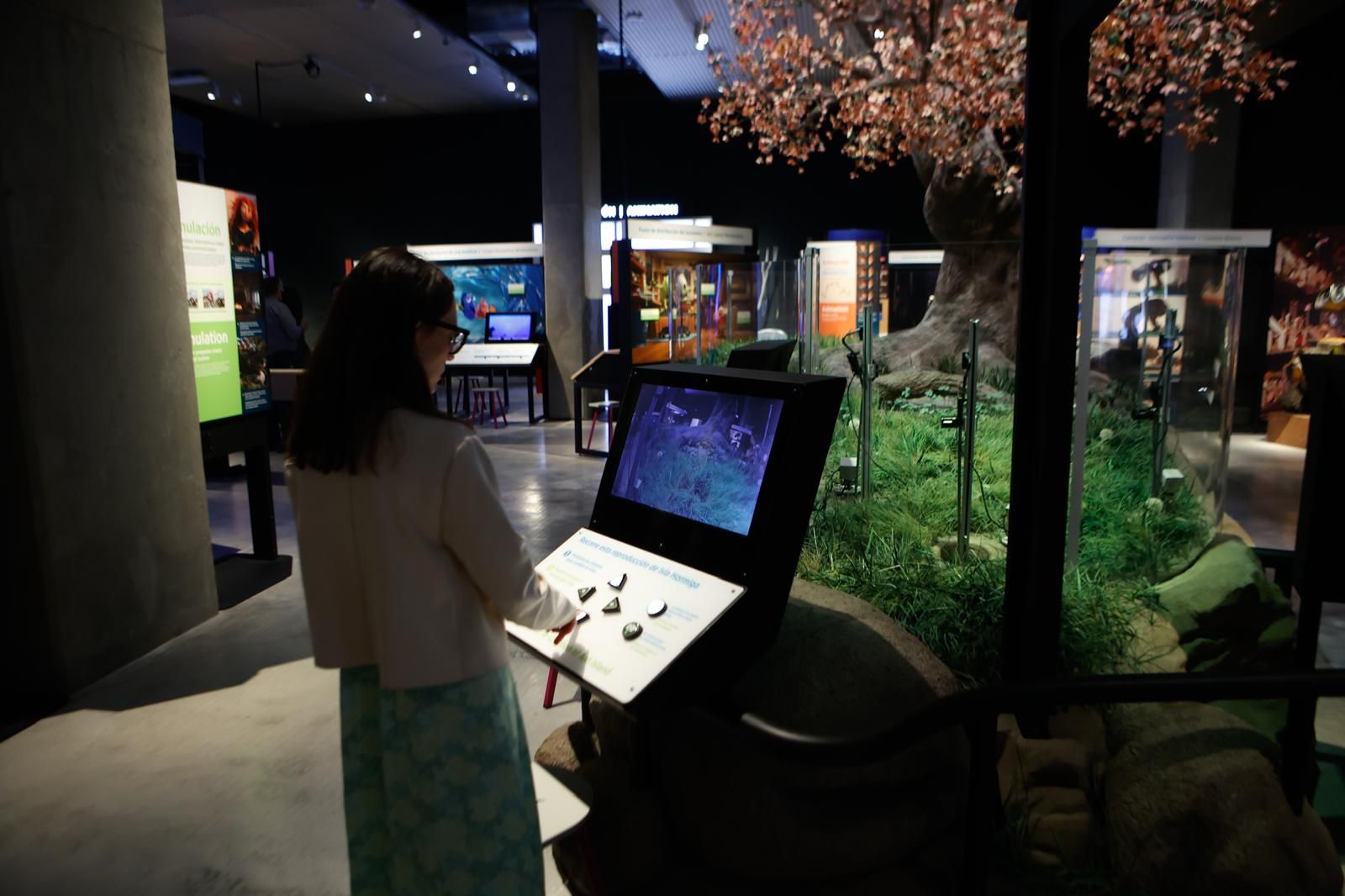 En imágenes: la exposición que revela los &#039;secretos&#039; de Pixar en Sevilla