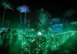 'Naturaleza Encendida' vuelve al Real Alcázar de Sevilla: fechas, entradas y descuentos