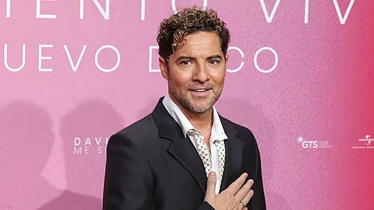 David Bisbal, el artista almeriense