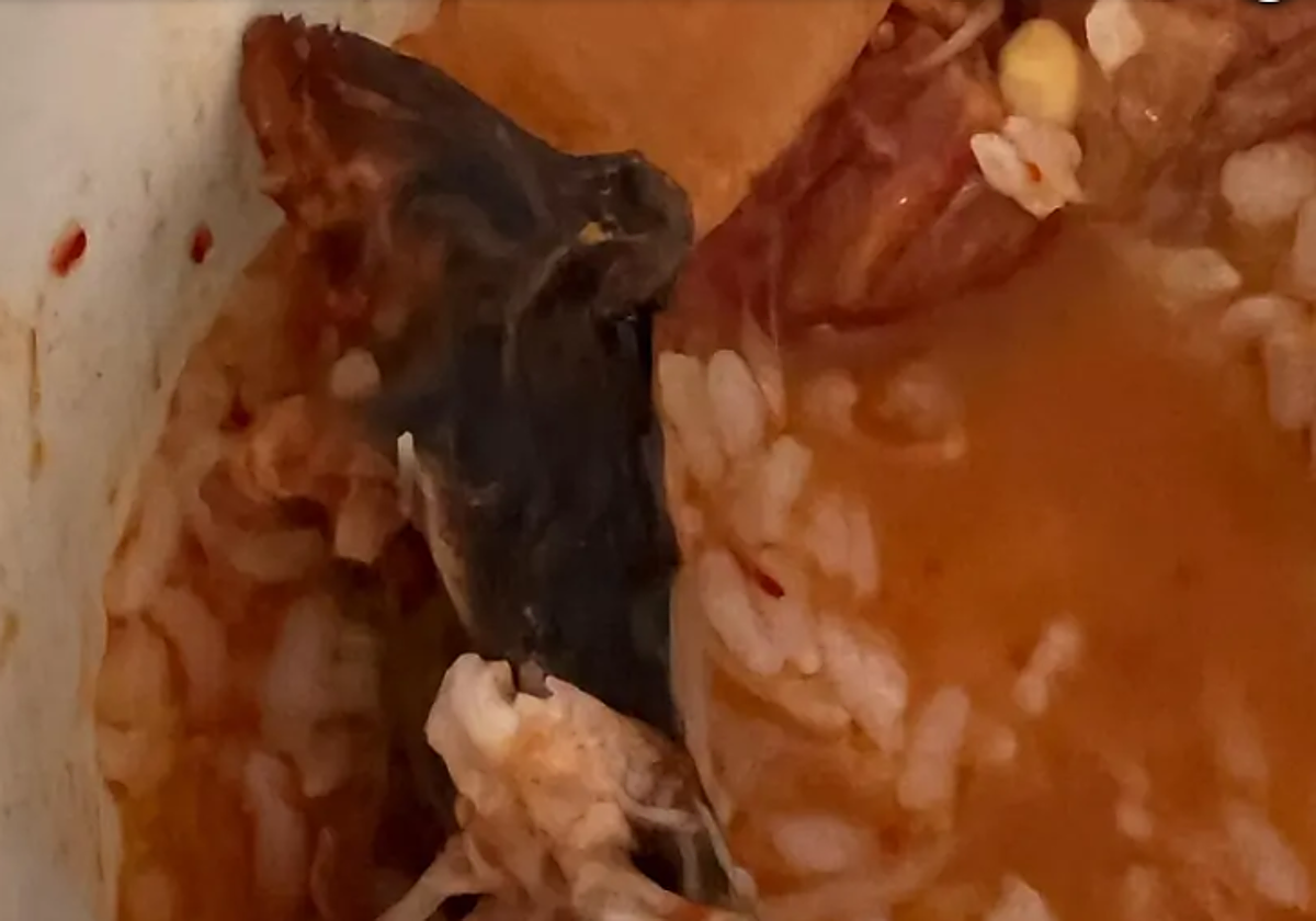 La presunta rata en el plato de comida en una imagen tomada por la pareja afectada