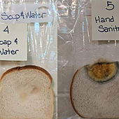 El «asqueroso» experimento de una maestra para concienciar sobre la importancia de lavarse las manos
