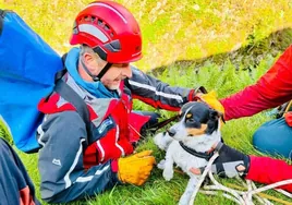 El emotivo rescate de un perro tras caerse desde una de las cataratas más altas de Reino Unido