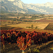 El consejo de un estadounidense a los turistas que visitan España: pone a los españoles de acuerdo