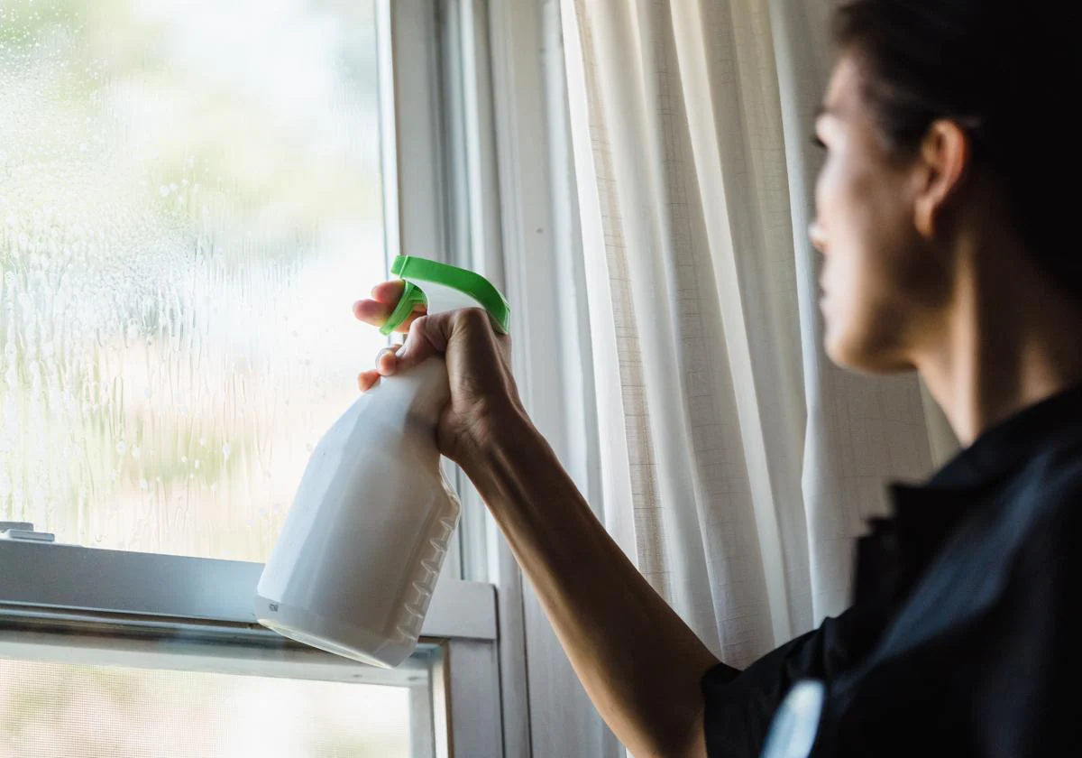 Cómo limpiar de forma correcta el agua de las ventanas