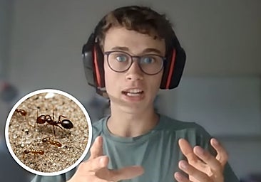 Jorge Rey se adelanta a los expertos con este pronóstico gracias a la predicción de las hormigas