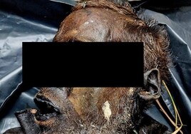 Encuentran a un hombre completamente momificado 16 días después de haber sido visto con vida por última vez
