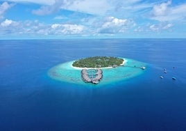 Se busca pareja para cuidar de una isla privada con un sueldo de 180.000 euros: la oferta de empleo de un multimillonario