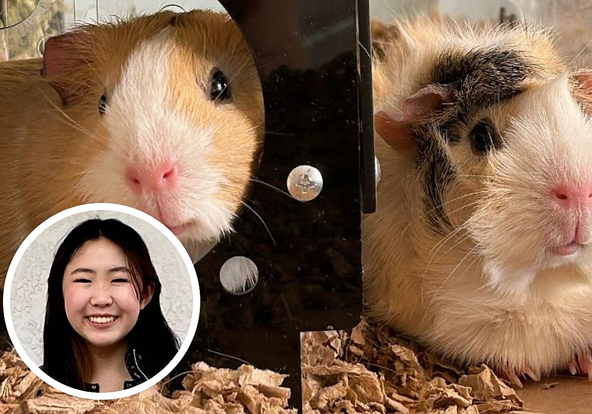 Lin, que vive en Los Ángeles, tiene ahora 17 años