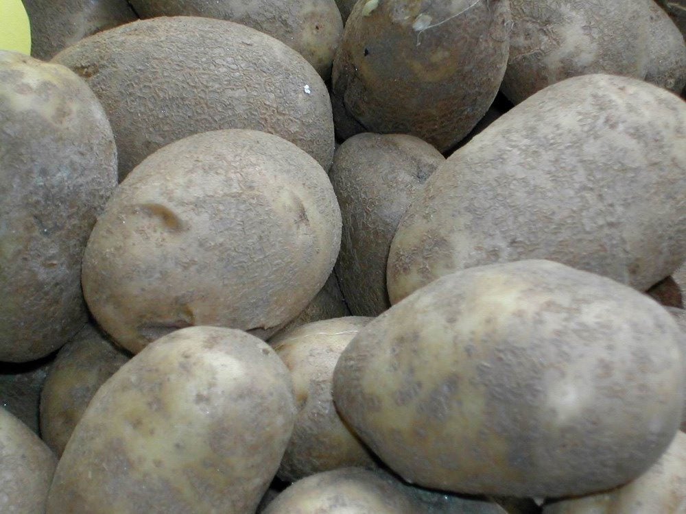 El aviso de una farmacéutica a quienes comen patatas con brotes o color verdoso