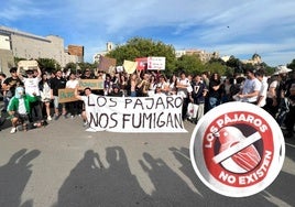 Lo que hay detrás de 'Los pájaros no existen', el movimiento que se ha manifestado en España