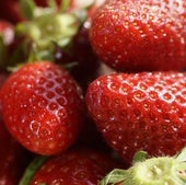 Esta es la forma más fiable de saber si las fresas provienen de España o de Marruecos