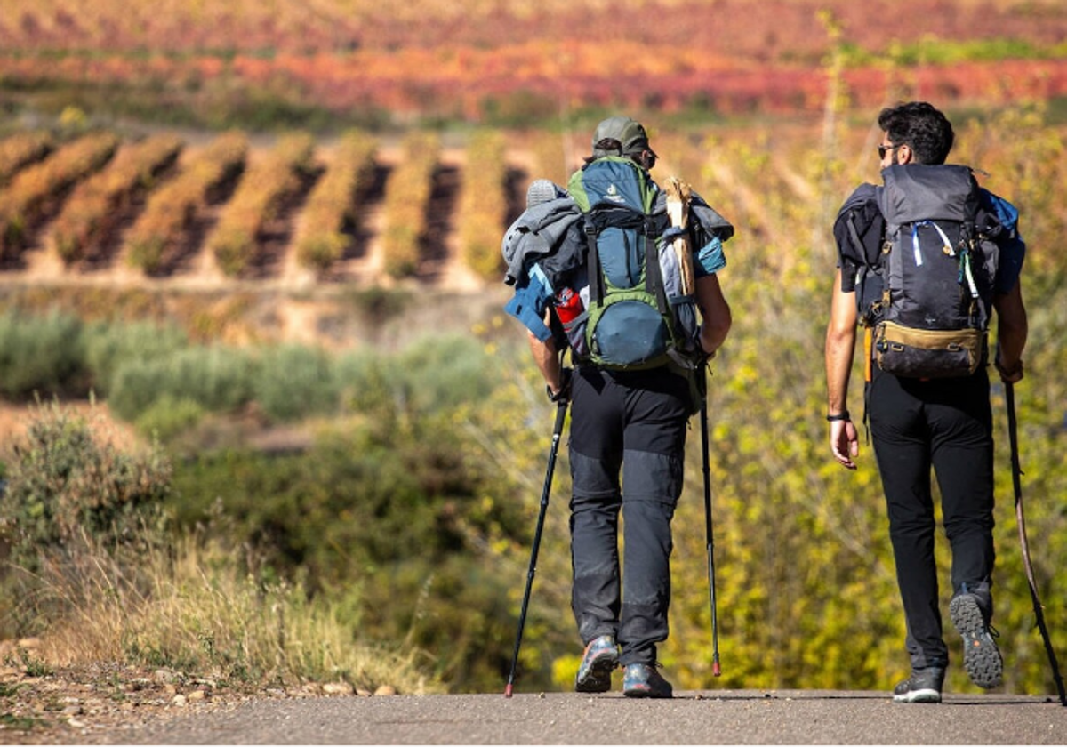 Peregrinos en el Camino de Santiago