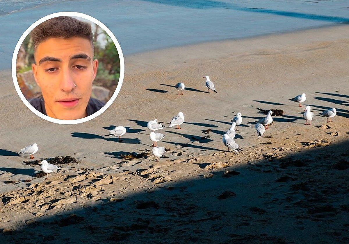 El tiktoker y unas gaviotas en la playa