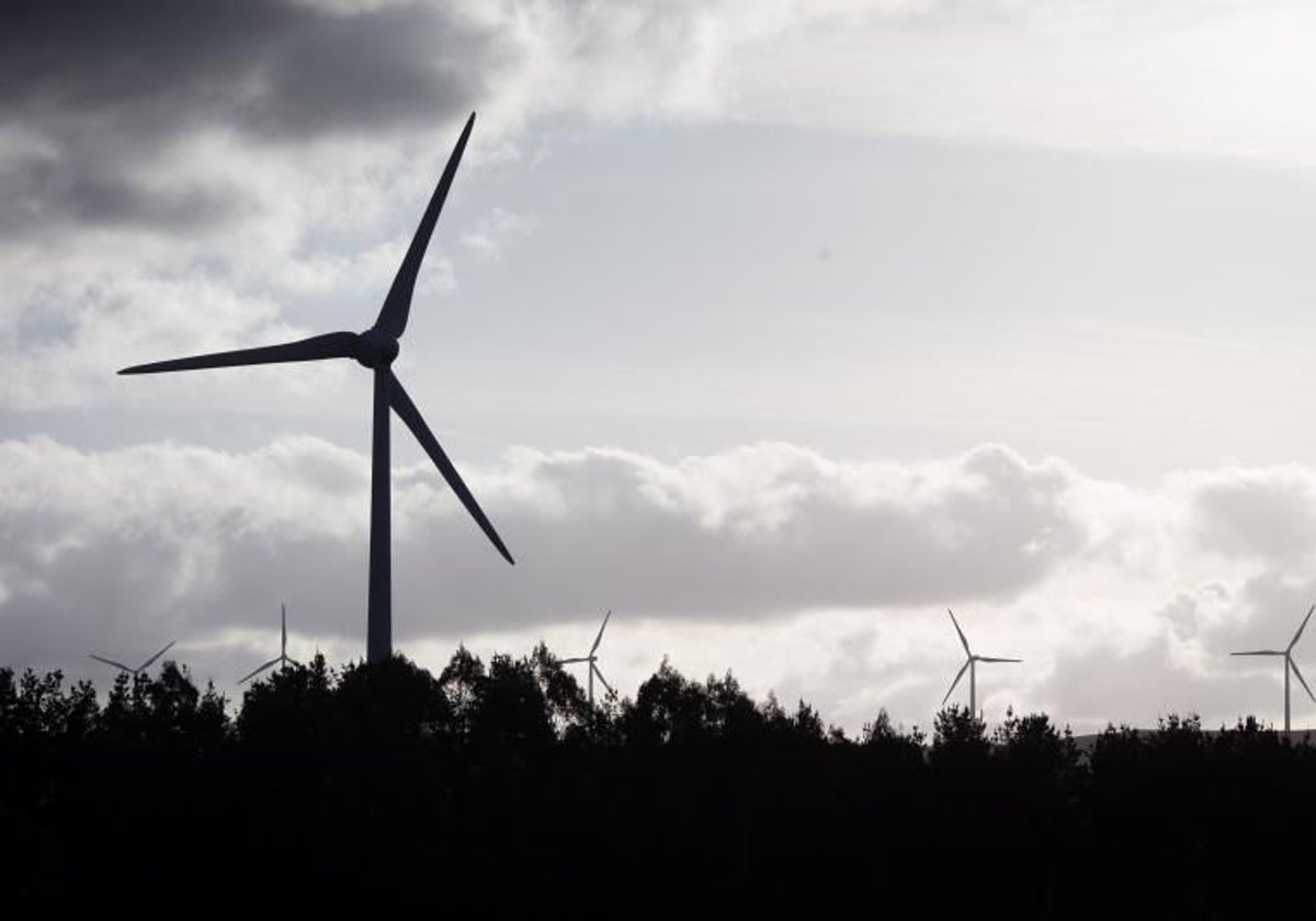 Un profesor de Oxford queda impresionado con lo que está pasando en España con las energías renovables