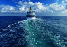 Una trabajadora de un crucero explica lo que hace la tripulación si un barco empieza a hundirse: «Mi tarjeta de emergencia...»