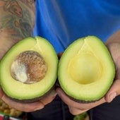 Un frutero explica cómo saber si un aguacate está bueno sin llegar a abrirlo