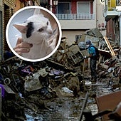 El emotivo reencuentro de una joven con su gato tras desaparecer en Valencia por la DANA: «No llores, ya estás con mamá»