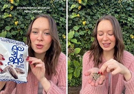 Una estadounidense que vive en España, sorprendida con las pipas en Galicia: «Me recuerda mucho a...»