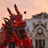 ¿Qué animal eres según tu fecha de nacimiento y qué te depara el año de la serpiente de madera?