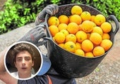 Un agricultor lanza este aviso a quienes compran naranja valenciana en España por menos de un euro: «Tú eres cómplice»