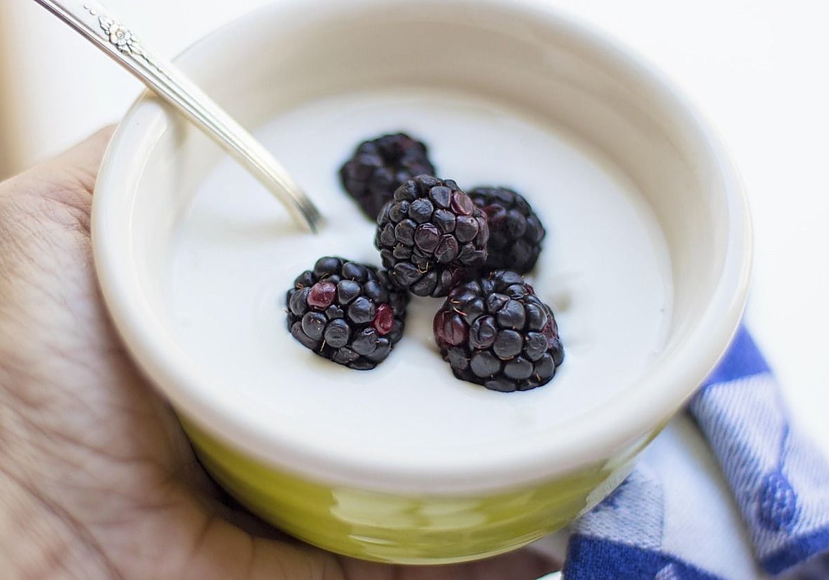 Un doctor de Harvard indica qué efectos produce el consumo de yogures a largo plazo en nuestro cuerpo: «Nuestro estudio aporta pruebas únicas»