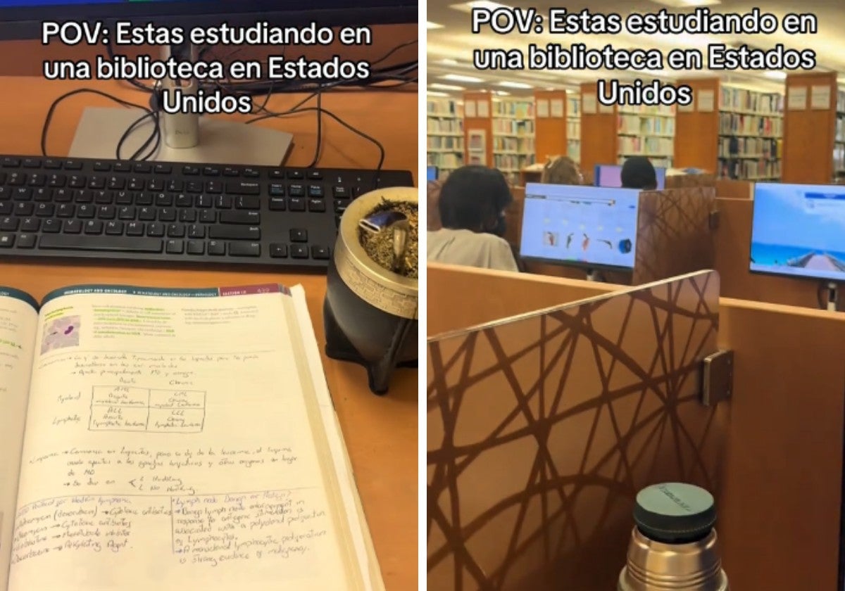 Va a estudiar a una biblioteca de Estados Unidos y no puede creer lo que hace una mujer a su lado